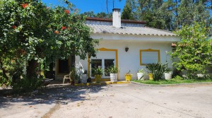 NEGOCIÁVEL – Moradia T3 + anexos,térrea e isolada, em zona calma e tranquila.