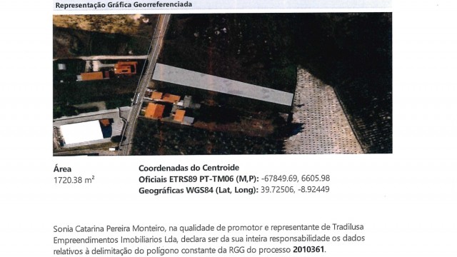 Bupi matriz 2362.jpeg