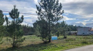 Extenso terreno para comércio, industria ou habitação, em Comeira!