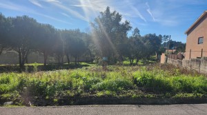 Terreno para construção, com 1450 m2, em Picassinos – M.Grande.