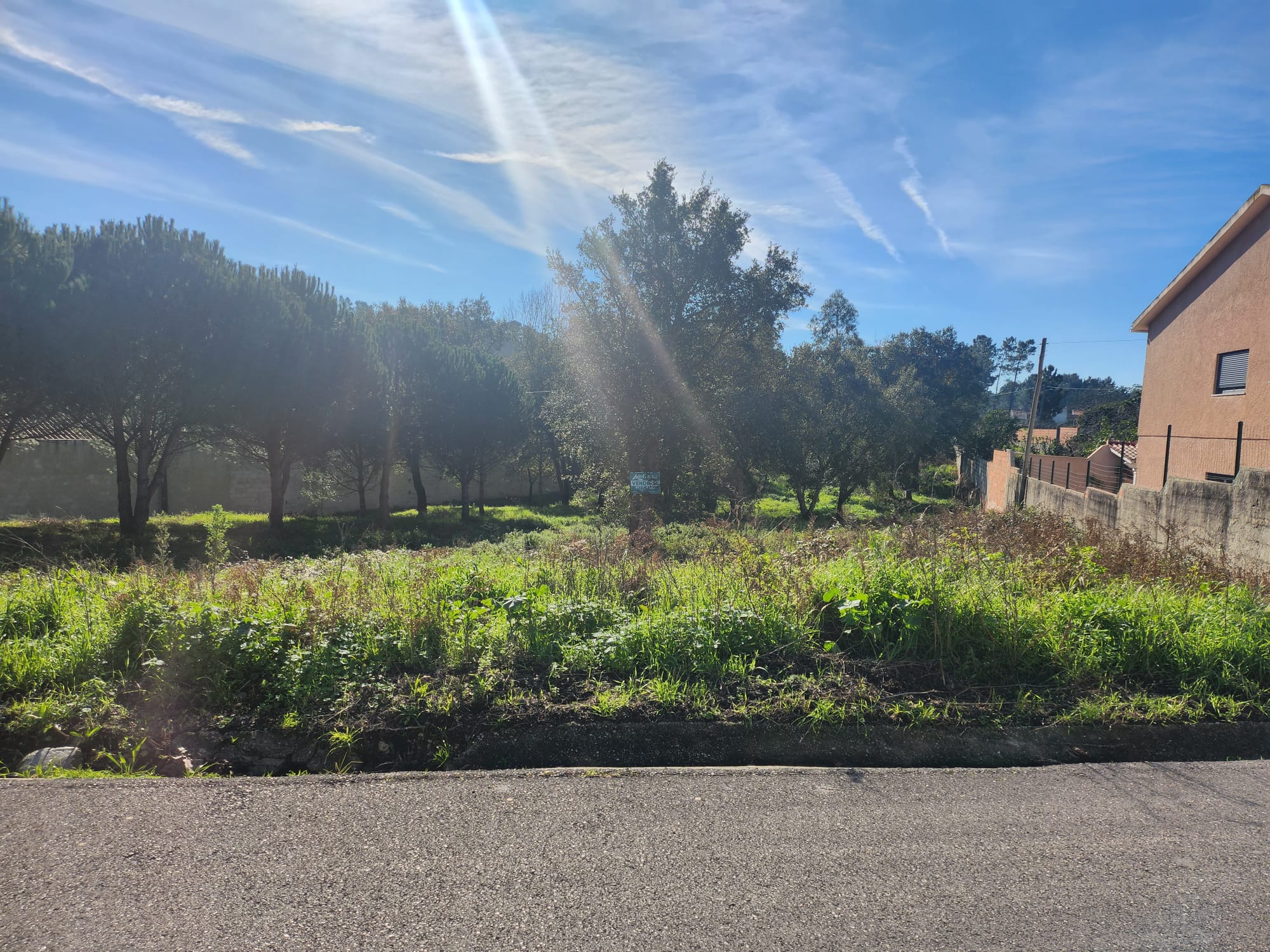 Terreno para construção, com 1450 m2, em Picassinos – M.Grande.