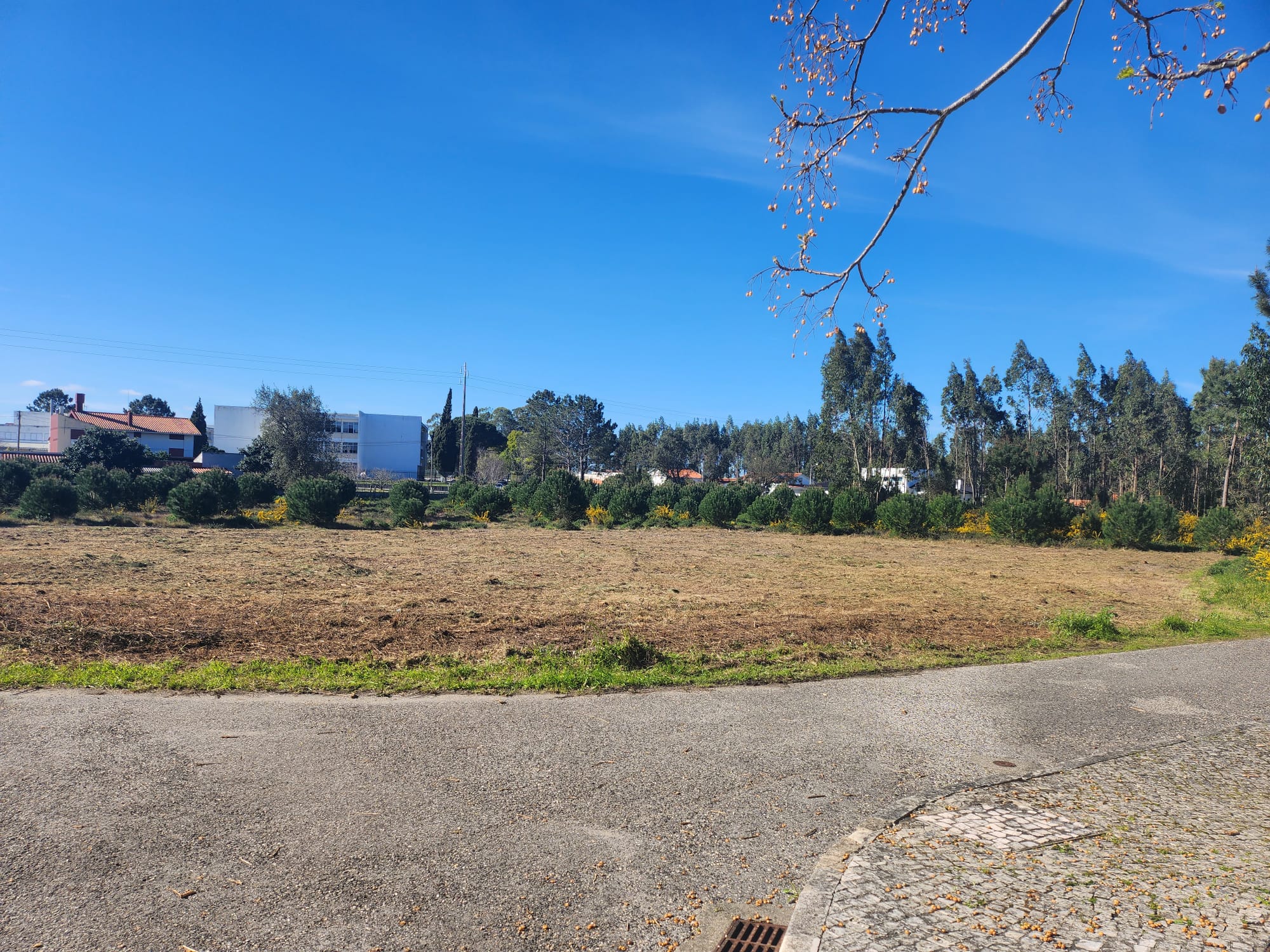 Terreno c/ projeto aprovado para contrução de 7 apartamentos Terreno c/ projeto aprovado para contrução de 7 apartamentos