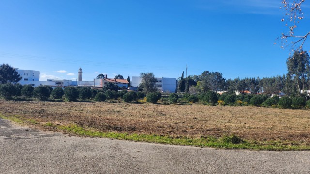 foto terreno limpo