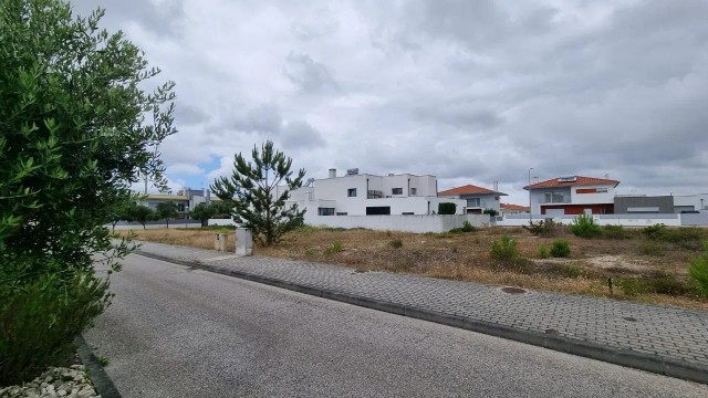 image (1)
