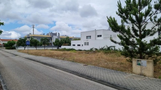 image (2)