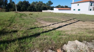 Terreno urbano, com 2500 m2, em Carregueiras, Garcia – M. Grande