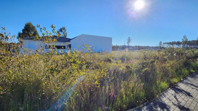 Imagem WhatsApp 2025-10-27 às 17.21.24_79b690d3