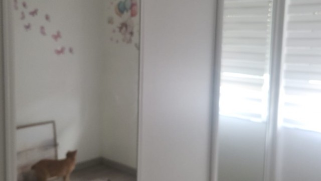 Imagem WhatsApp 2025-11-12 às 13.04.52_3476455f