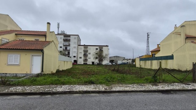 WhatsApp Image 2026-01-26 at 11.51.38