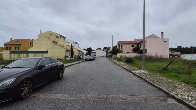 WhatsApp Image 2026-01-26 at 11.51.384