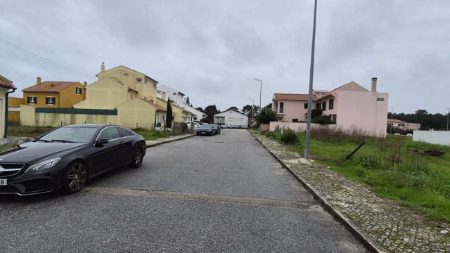 WhatsApp Image 2026-01-26 at 11.51.386