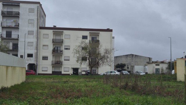 WhatsApp Image 2026-01-26 at 11.51.388