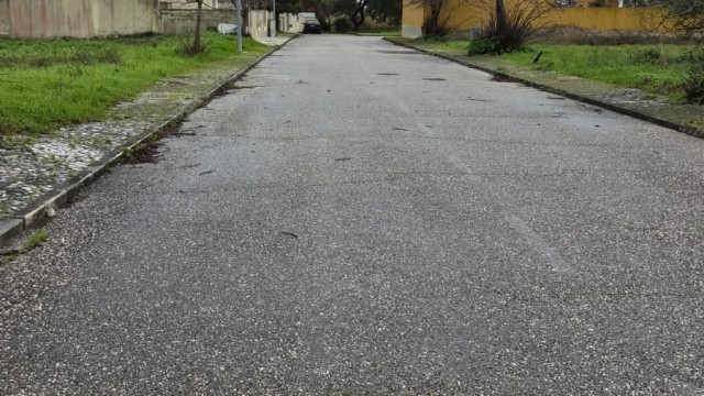 WhatsApp Image 2026-01-26 at 11.55.591