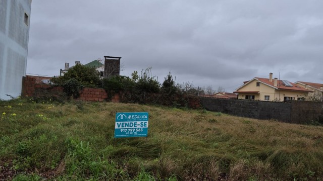 WhatsApp Image 2026-01-26 at 12.08.063