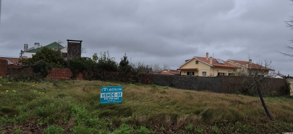 WhatsApp Image 2026-01-26 at 12.08.117