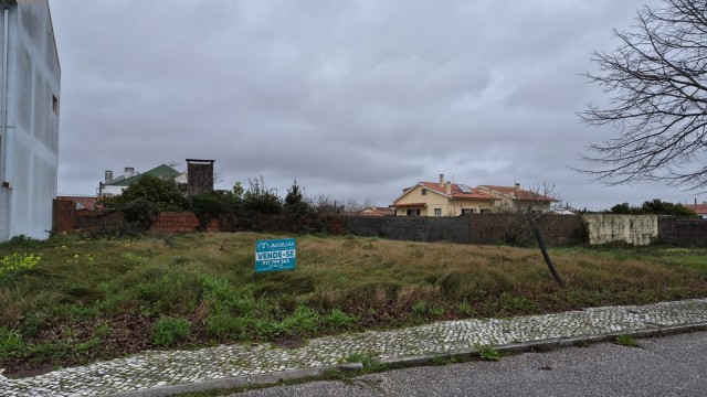 WhatsApp Image 2026-01-26 at 12.08.118