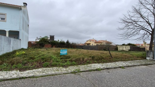 WhatsApp Image 2026-01-26 at 12.08.119