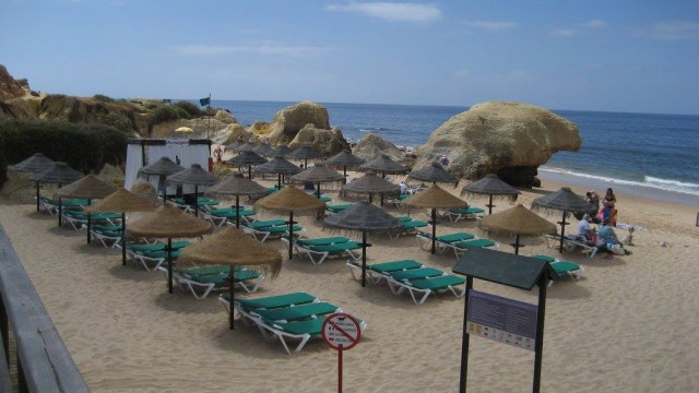 18055955_365557033846036_5429984704107955075_o