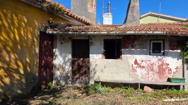 WhatsApp Image 2026-04-03 at 13.31.0515