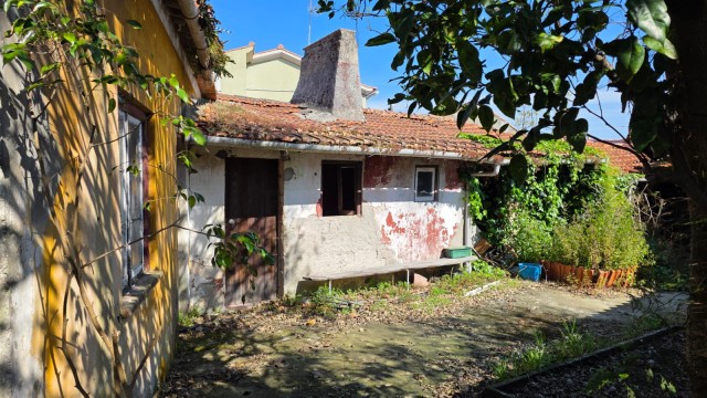 WhatsApp Image 2026-04-03 at 13.31.0516