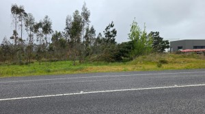 Terreno rústico de 7600m² de área, em Moita Marinha Grande