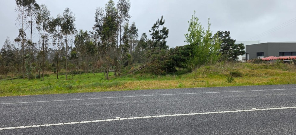 WhatsApp Image 2026-04-15 at 09.59.00