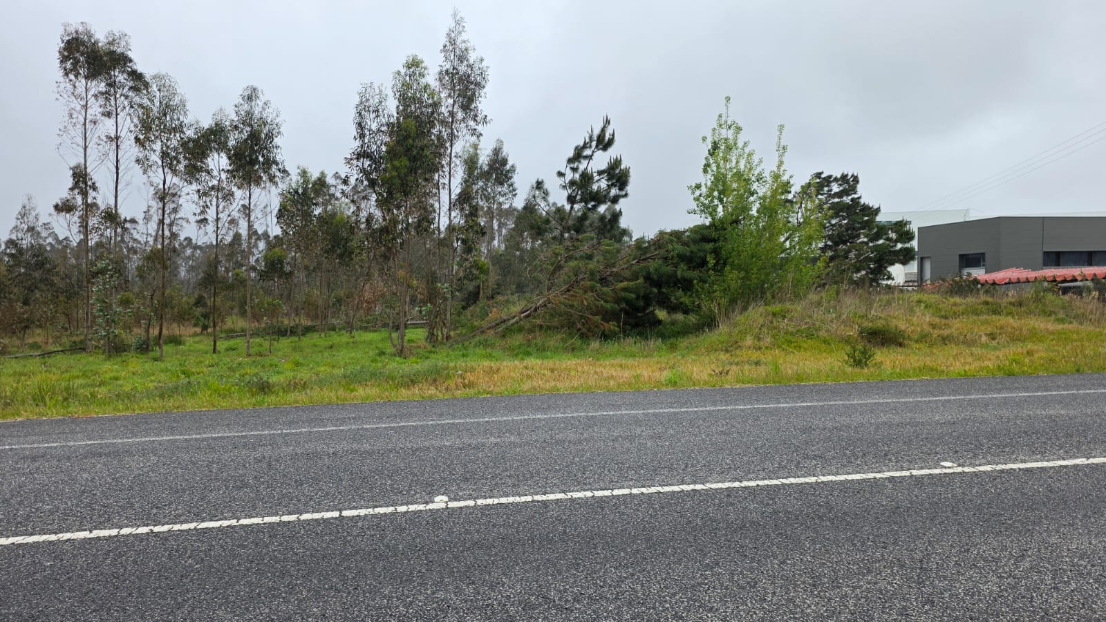 Terreno rústico de 7600m² de área, em Moita Marinha Grande