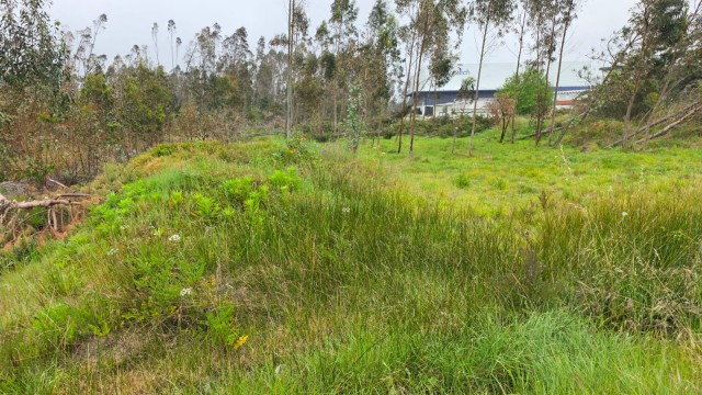 WhatsApp Image 2026-04-15 at 09.59.003