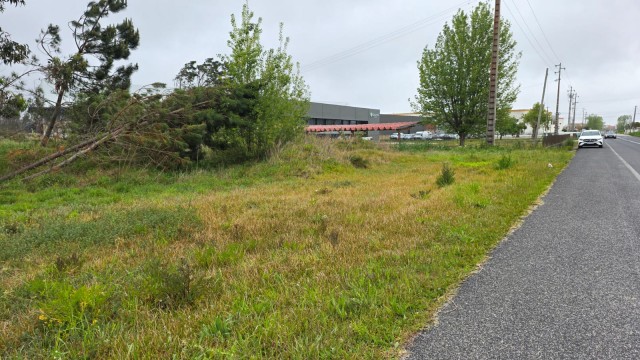 WhatsApp Image 2026-04-15 at 09.59.014