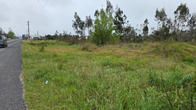 WhatsApp Image 2026-04-15 at 09.59.016