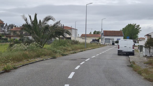 WhatsApp Image 2026-04-29 at 10.31.202