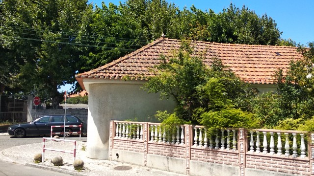 storage emulated 0 DCIM Camera IMG_20230725_123748